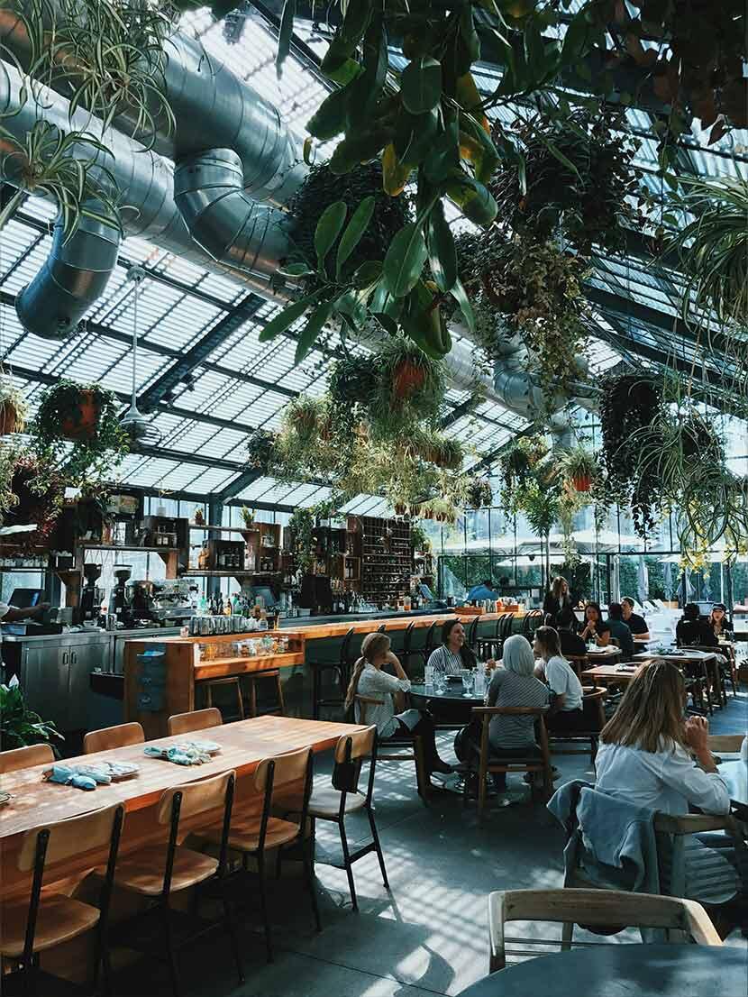 Brunch Bliss