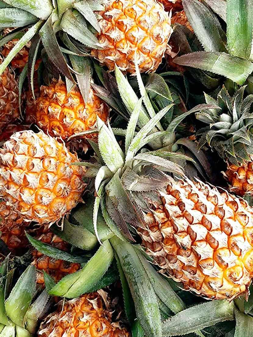 Summer Delicacies